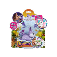 Zajíc Bunny