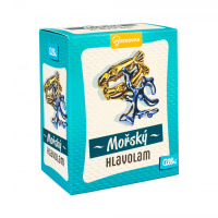 Mořský kovový Hlavolam