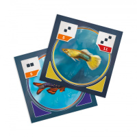 Hra – Akvárium