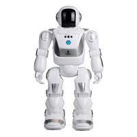 Robot Bot X