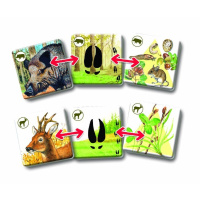 Pexetrio – Savci