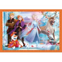 Puzzle 4v1 – Frozen