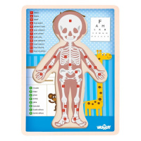 Puzzle – Lidské tělo chlapec