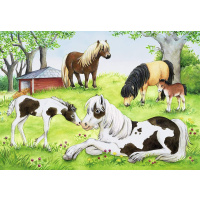 Puzzle 2x24 - Koně