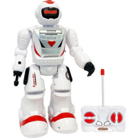 RC - Future bot