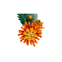 10368 Lego Botanicals – Chryzantéma
