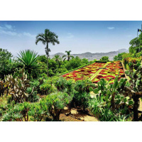 Puzzle 1000 – Botanická zahrada: Madeira