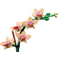 10343 Lego Botanicals – Miniaturní orchidej