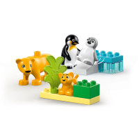10442 Lego Duplo – Rodinky divokých zvířat: Tučňáci a lvi