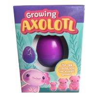 Vajíčko s rostoucím Axolotlem