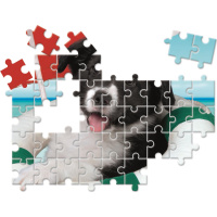 Puzzle 10v1 - Zvířecí kamarádi