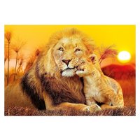 Puzzle 180 – Nečekané objetí