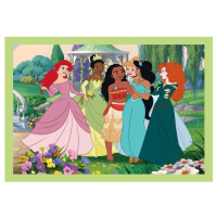 Puzzle 4V1 - Disney Princess