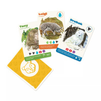 Hra - Naše zoo
