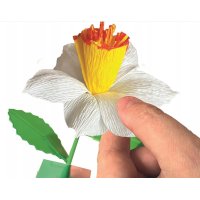 Výroba květin – Narcis