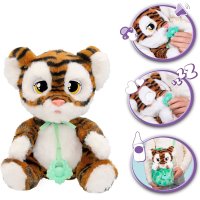 Baby Paws – Tygr