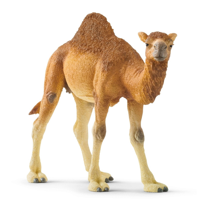 Schleich – Dromedár 14832