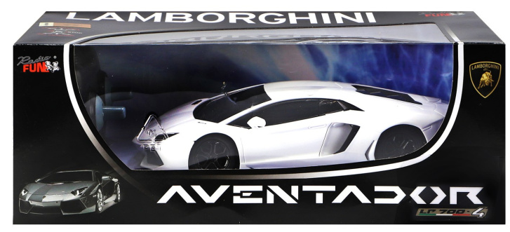 RC - Auto na dálkové ovládání 1:24