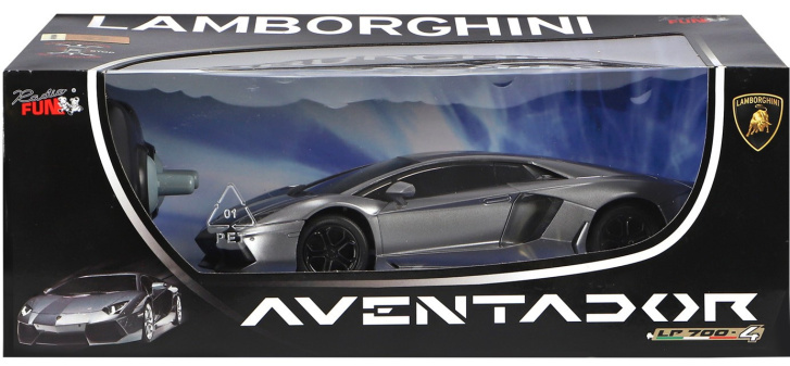 RC - Auto na dálkové ovládání 1:24