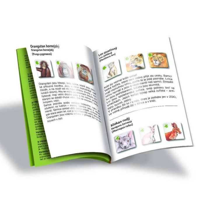 Pexetrio – Zvířecí rodinky