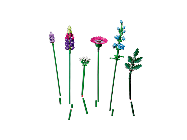 10313 Lego Botanicals – Kytice z polních květů