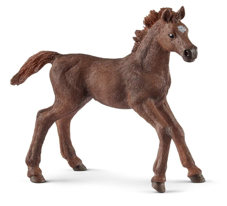 Schleich - Anglické plnokrevné hříbě 13857