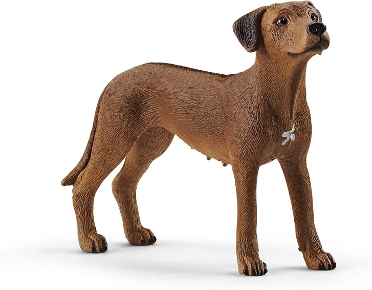 Schleich – Pes Rhodéský ridgeback 13895