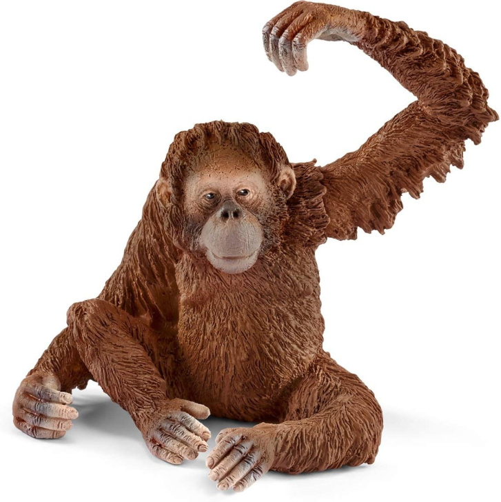 Schleich – Samice orangutana 14775