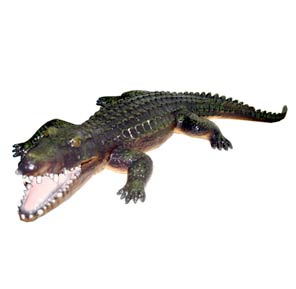 Aligátor
