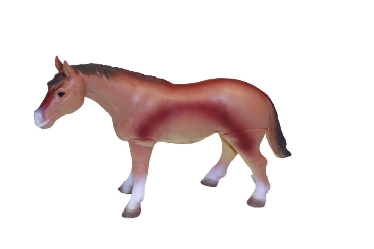 Kůň