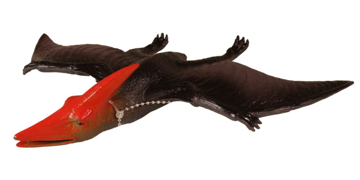 Dinosaurus