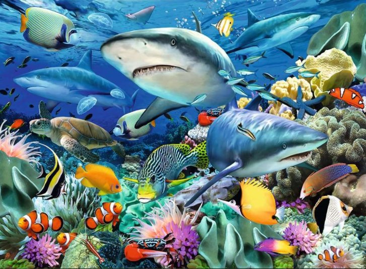 Puzzle 100 XXL - Mořský svět