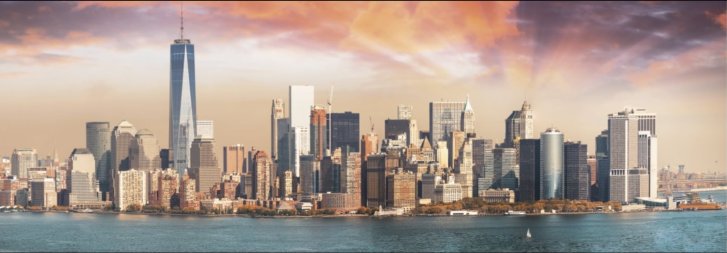 Puzzle 1000 - Manhattan
