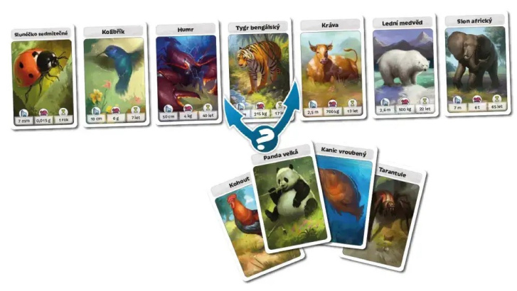 Cardline – Svět zvířat