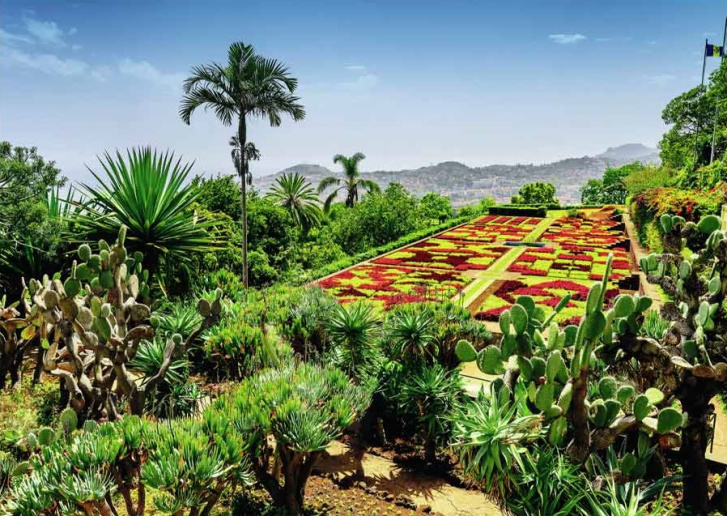 Puzzle 1000 – Botanická zahrada: Madeira