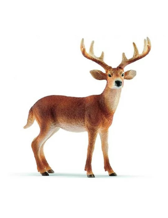 Schleich – Jelen běloocasý 14818