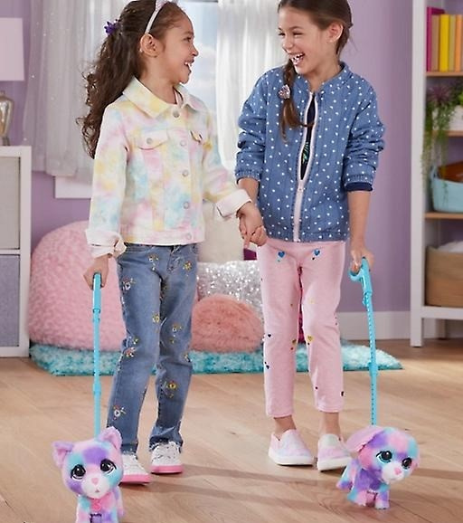 Fur Real Walk a Lots – Štěňátko a kotě