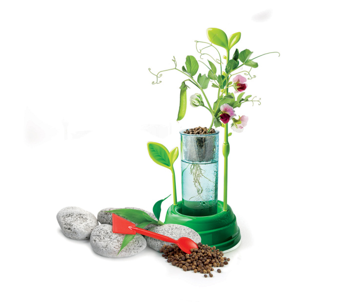 Clementoni – Hydroponická botanika