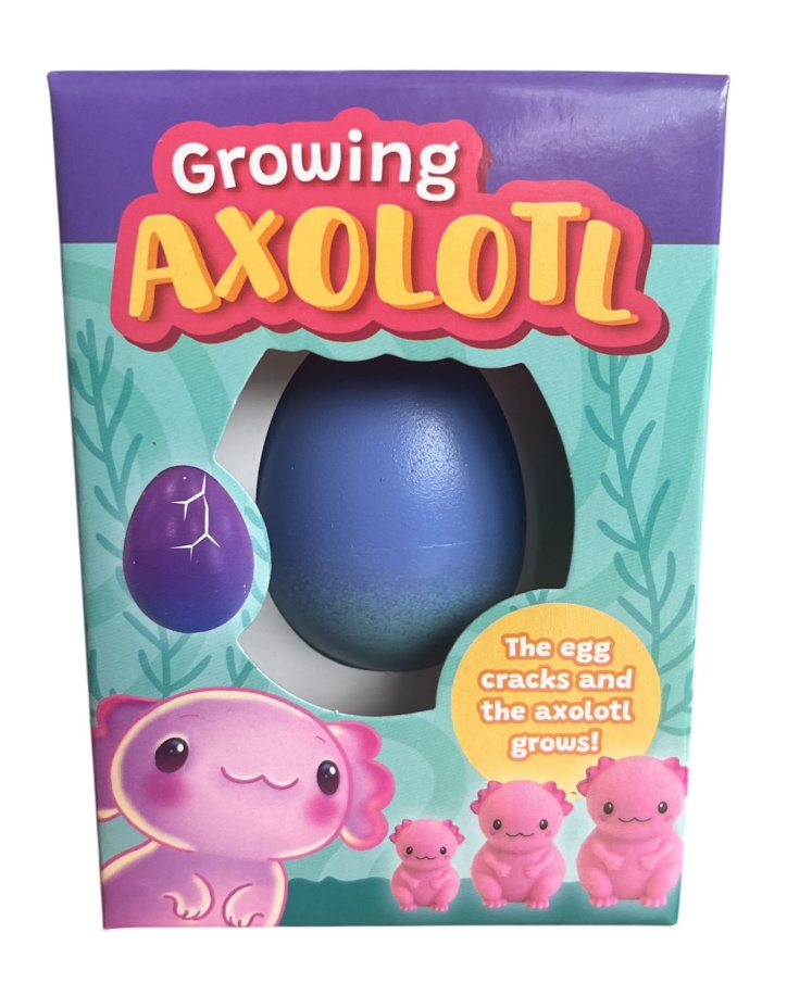 Vajíčko s rostoucím Axolotlem