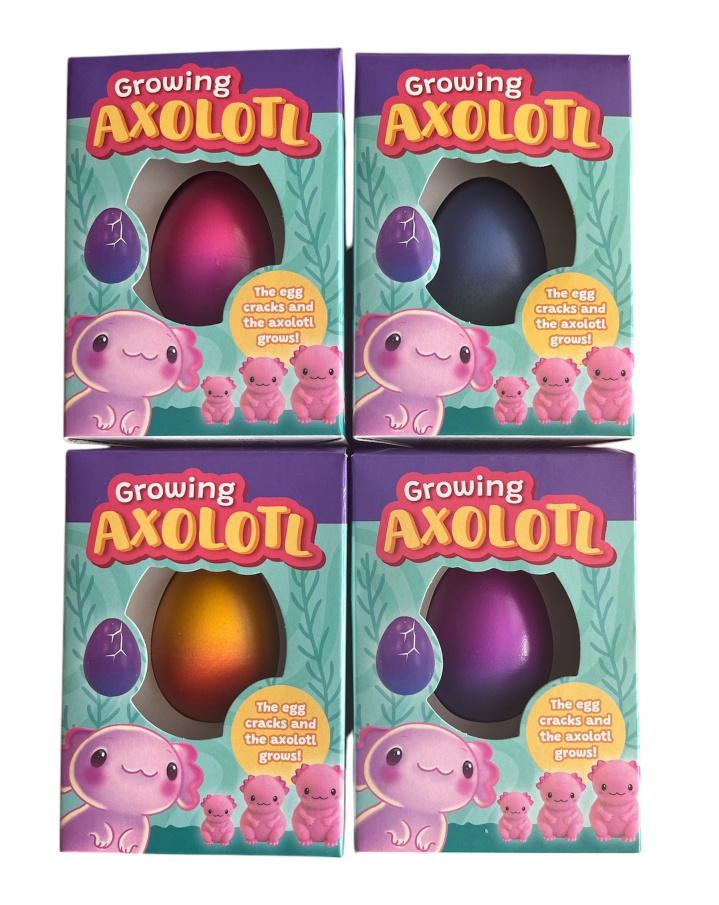 Vajíčko s rostoucím Axolotlem