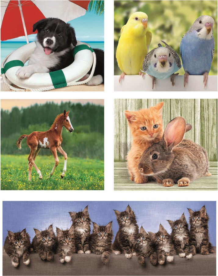 Puzzle 10v1 - Zvířecí kamarádi