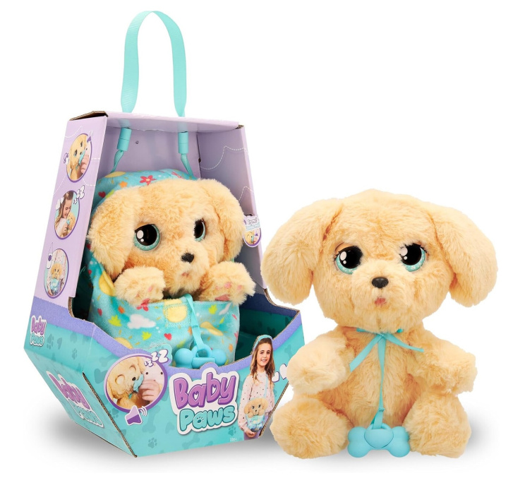 Baby Paws –  Pes Labrador