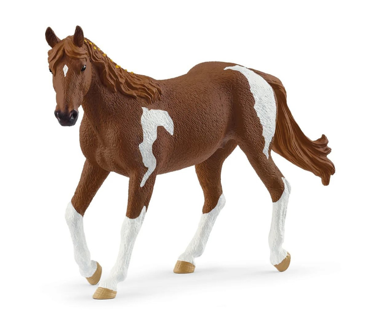 Schleich – Klisna Paint 14901