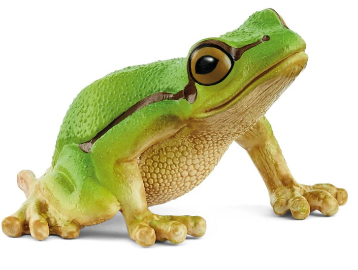 Schleich – Rosnička zelená 14882