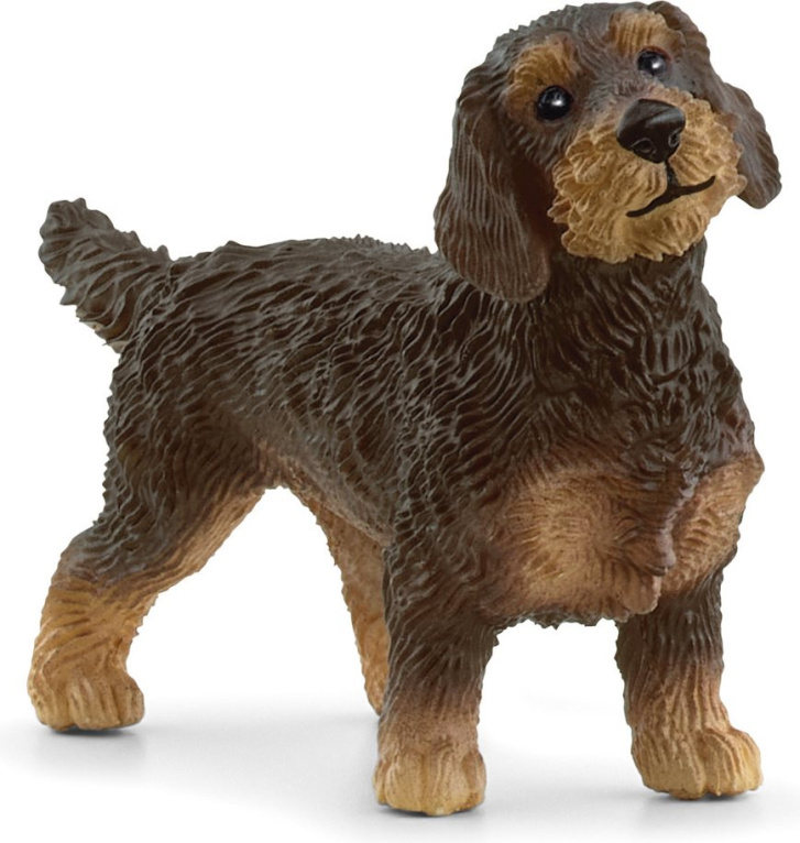 Schleich – Jezevčík hrubosrstý 13972