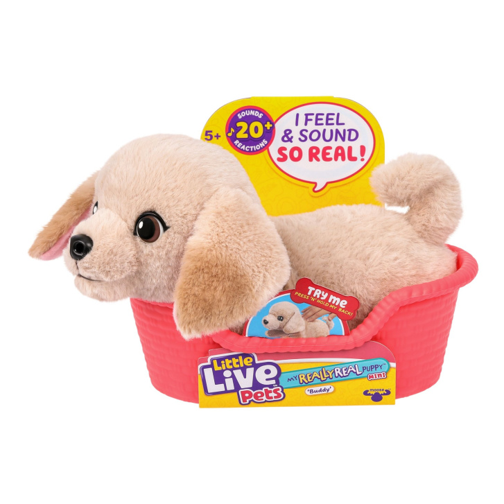 Little Live Pets - Pejsek Buddy