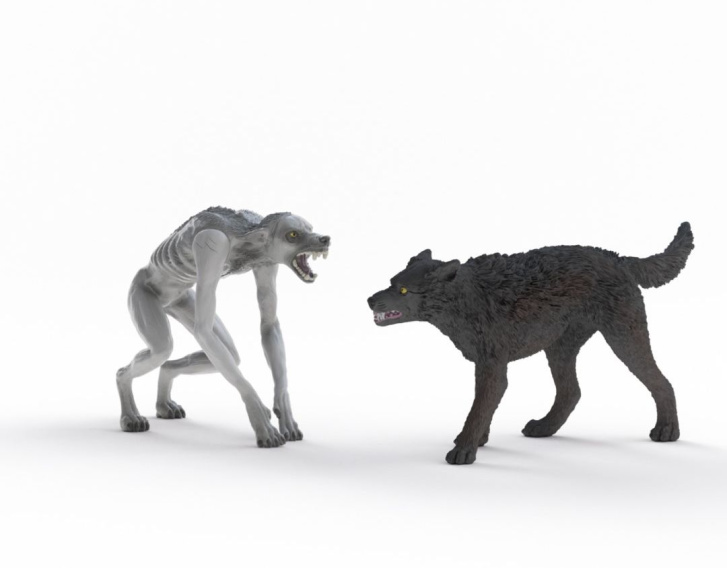 Schleich – Vlkodlak vs. zvěromág 14906