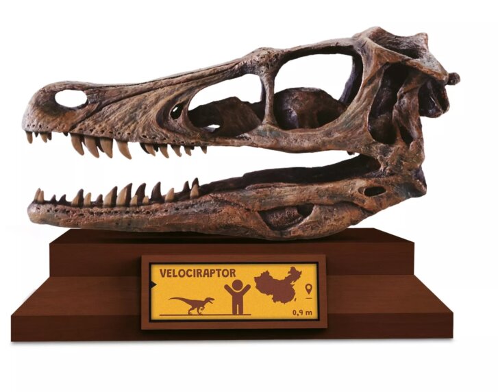 Albi Science – Lovci lebek Velociraptor