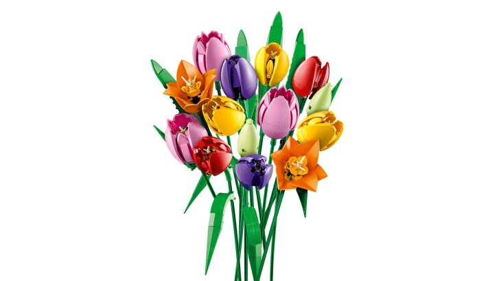 11501 Lego Botanicals – Kytica tulipánů