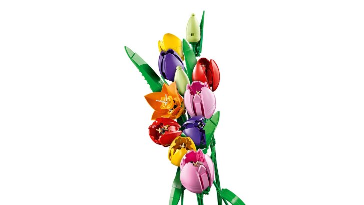 11501 Lego Botanicals – Kytica tulipánů